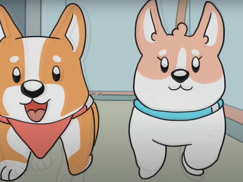 Proyecto-real-Animación-Municipio- San-Pedro